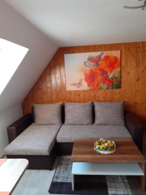 Ferienwohnung-Ritscher-in-Lichtenhain-2